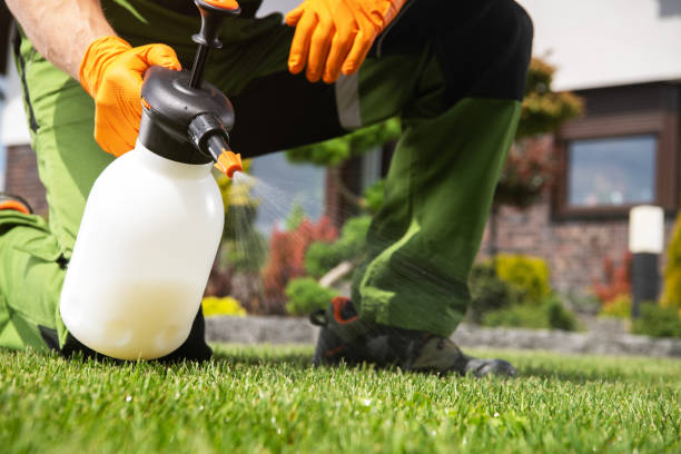 Best Pest Control for Homes  in Guadalupe, CA
