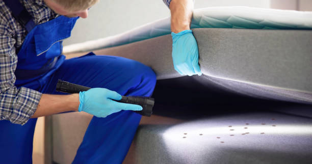 Best Wasp Removal Services  in Guadalupe, CA